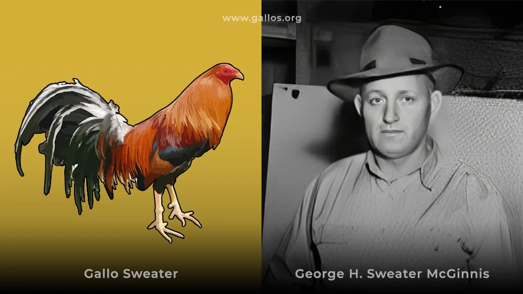 Gallos Sweater McGinnis