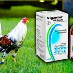 Vigantol para gallos